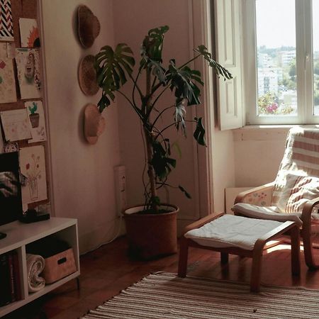 Coimbra Erasmus House - Guest House מראה חיצוני תמונה