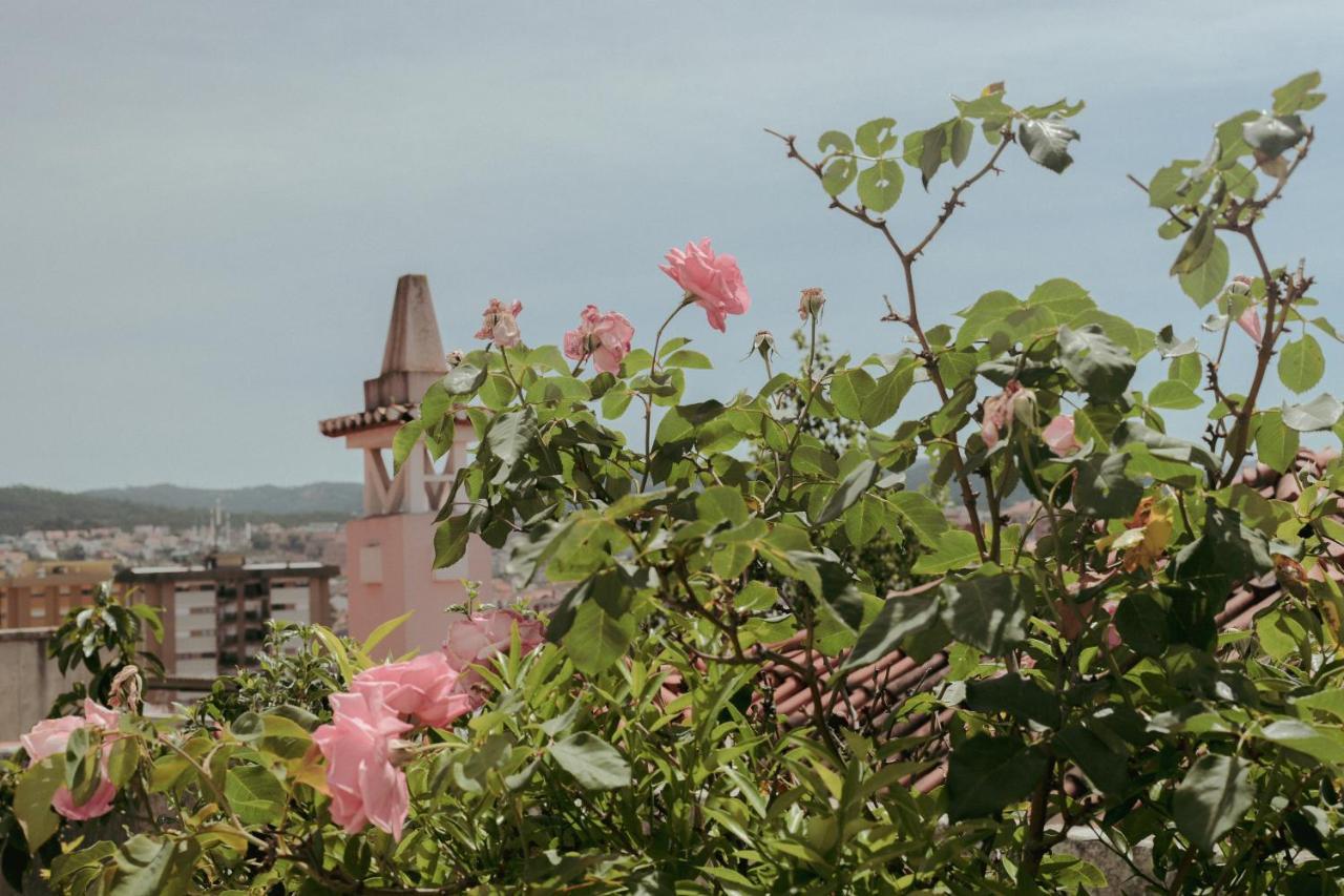 Coimbra Erasmus House - Guest House מראה חיצוני תמונה