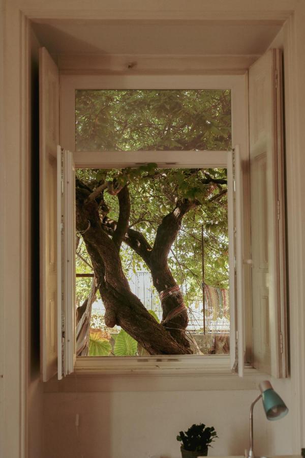 Coimbra Erasmus House - Guest House מראה חיצוני תמונה